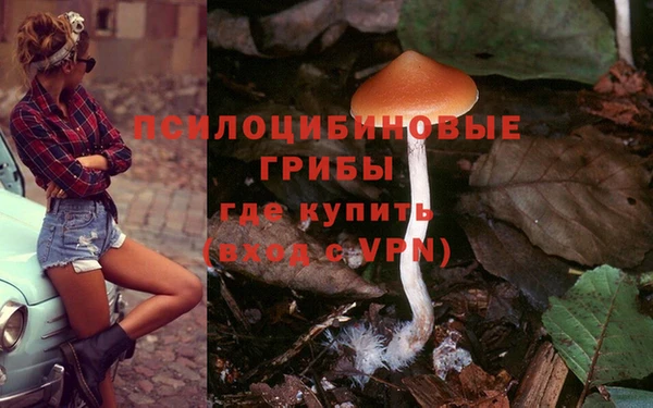 шишки Навашино