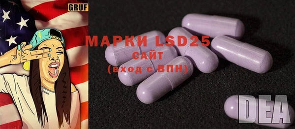 индика Пионерский