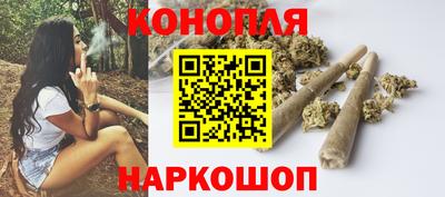ешки Гай