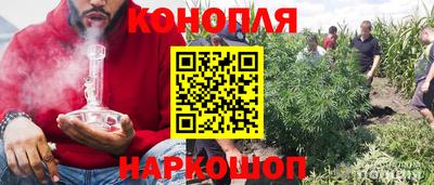 MDMA Гатчина