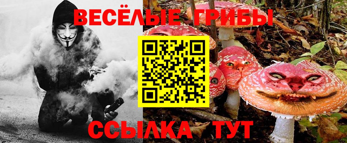 Галлюциногенные грибы Cubensis  Галлюциногенные грибы Psilocybine cubensis  купить  цена  Шуя 