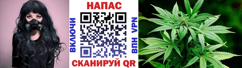 Канабис LSD WEED  нарко площадка состав  Шуя  блэк спрут ссылки 